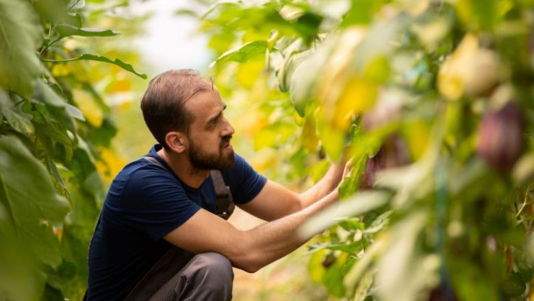 Eleveurs agricoles Grand Est