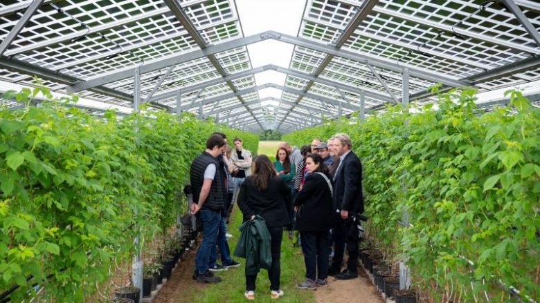 Bilan Portes ouvertes energies renouvelables