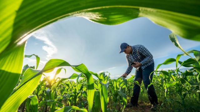 Fermes biodiversité Grand Est