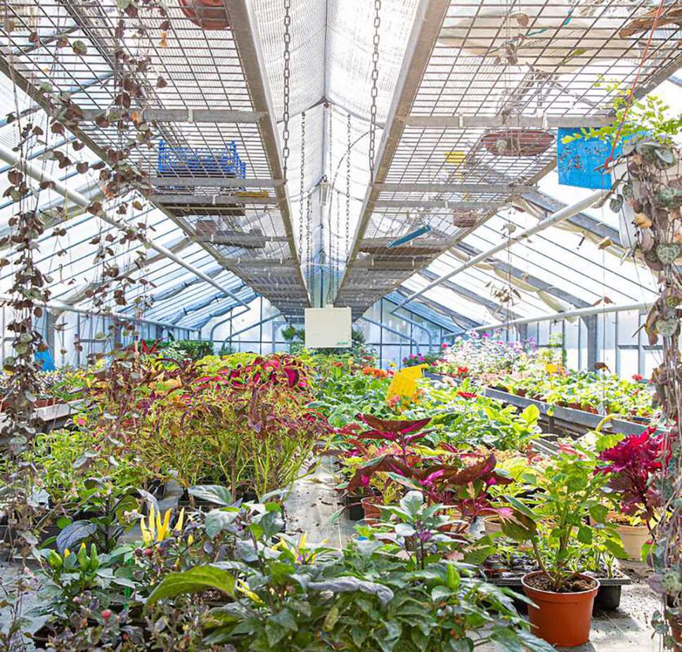 Serres horticoles à Reims - Géothermie