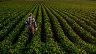 Programme ACSE Grand Est