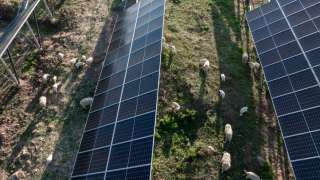 Agrivoltasime méthode PALIER
