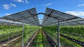 Photo représentant de l'agrivoltaïsme