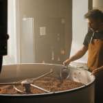 Bruleries chaleur fatale