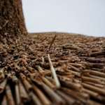 Roseau dans la construction