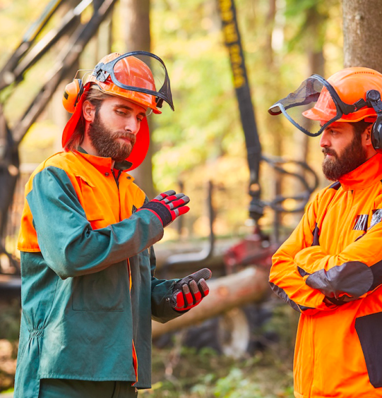 Économie de la Fonctionnalité et de la Coopération