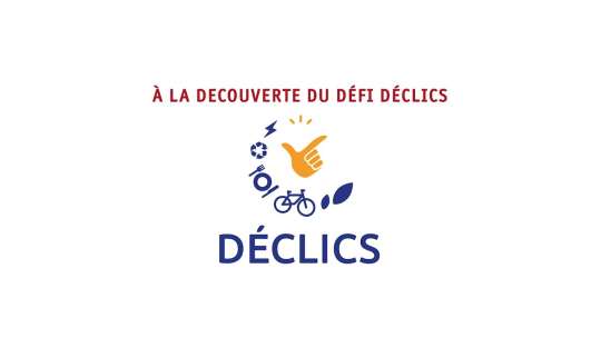 Embedded thumbnail for Défi DECLICS : ils adorent !